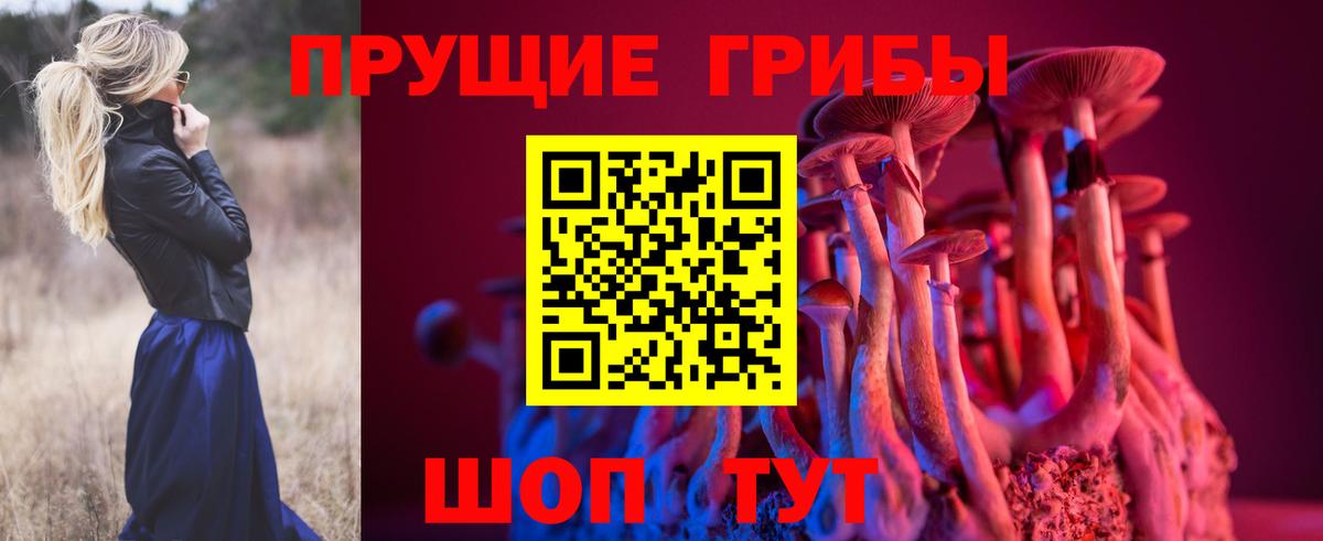 Галлюциногенные грибы ЛСД  Вход с VPN  Кировск  Галлюциногенные грибы мицелий 